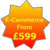 Ecommerce from 599